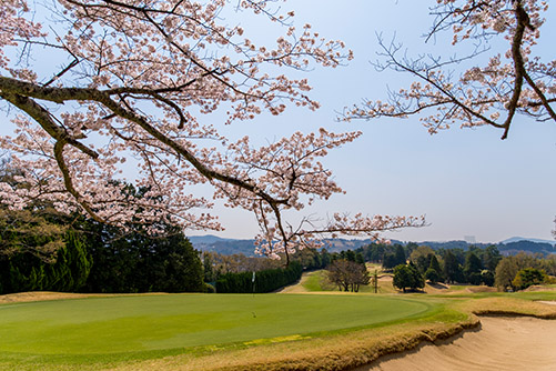 鳴尾GC4thHole