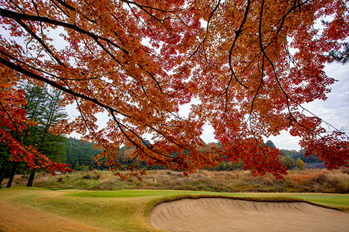 鳴尾GC7thHole