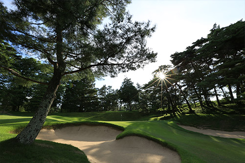 鳴尾GC11thHole