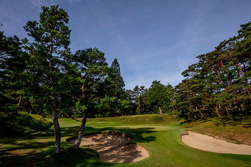 鳴尾GC11thHole