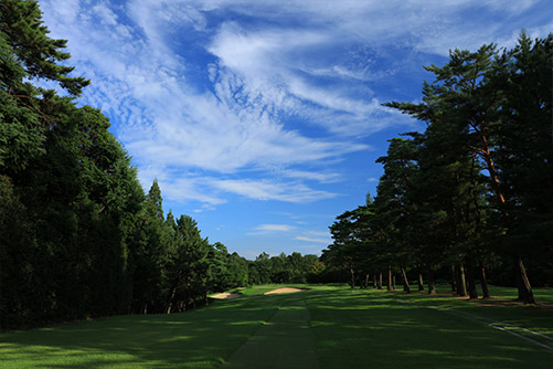 鳴尾GC12thHole