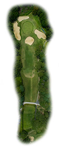 12 Hole