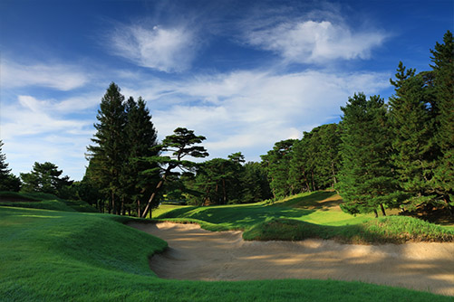 鳴尾GC14thHole